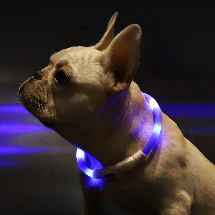 Умный ошейник для собак Xiaom Small Beast Star Pet Collar (XL81-5001)