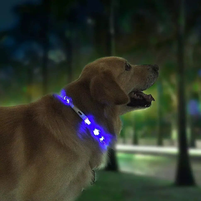Умный ошейник для собак Xiaom Small Beast Star Pet Collar (XL81-5001)