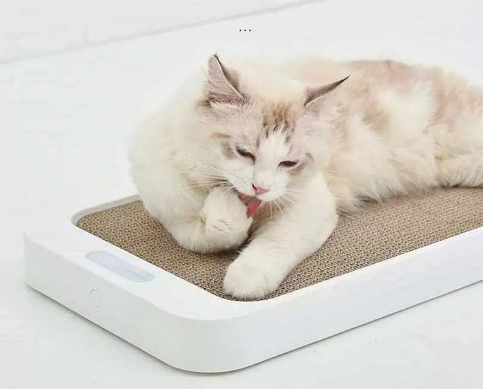 Лежанка - когтеточка - весы для кошек Homerun Magic Board Pet Scale PS15